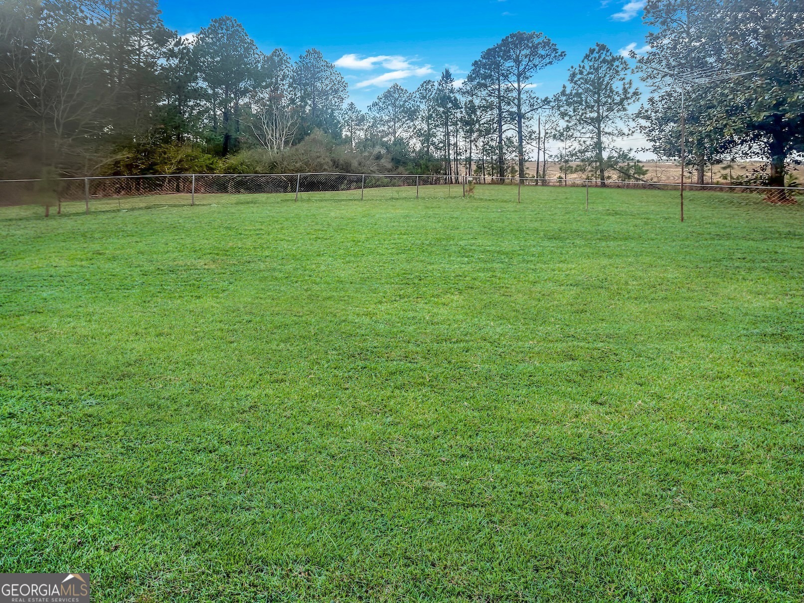 575 McCarty Road Sylvester, GA 31791 - Photo 18 of 20 Gallery Image 18