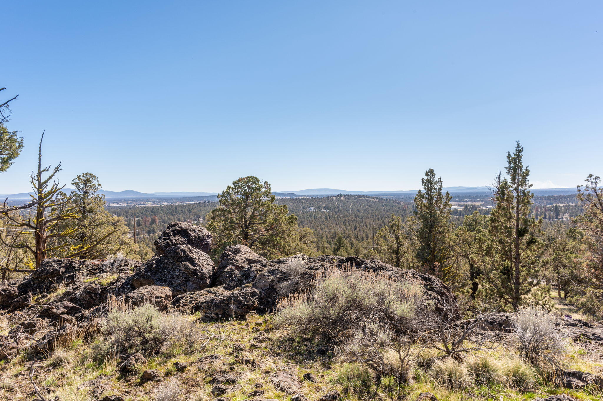 19040 Dusty Loop Bend, OR 97703 - Photo 17 of 27