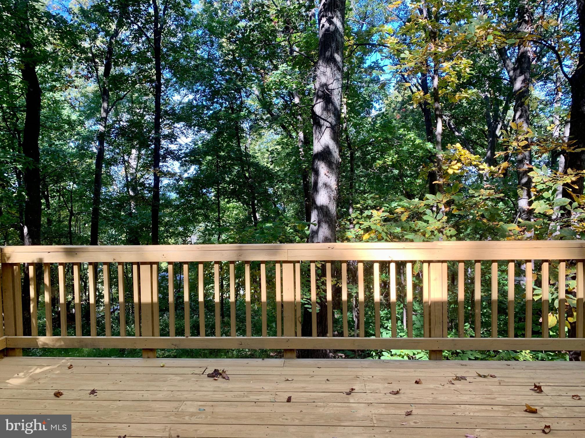 87 Blue Sky Road Linden, VA 22642 - Photo 11 of 16 Gallery Image 11