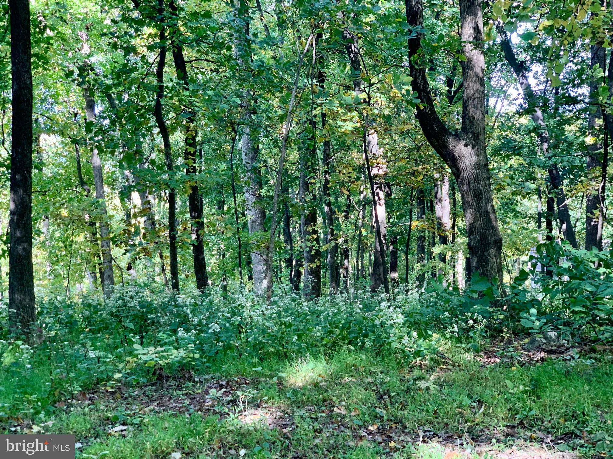 87 Blue Sky Road Linden, VA 22642 - Photo 13 of 16 Gallery Image 13