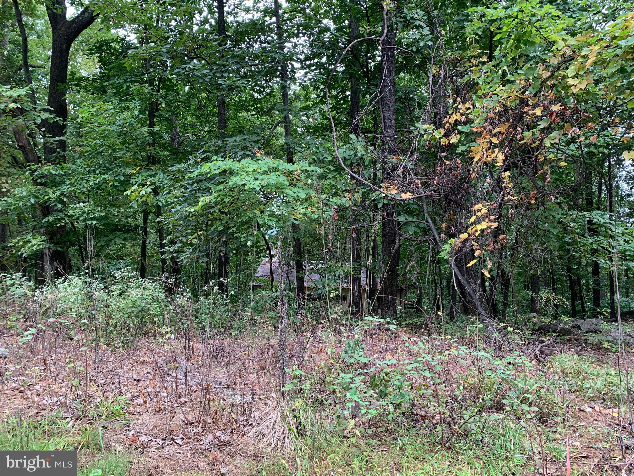 87 Blue Sky Road Linden, VA 22642 - Photo 14 of 16 Gallery Image 14