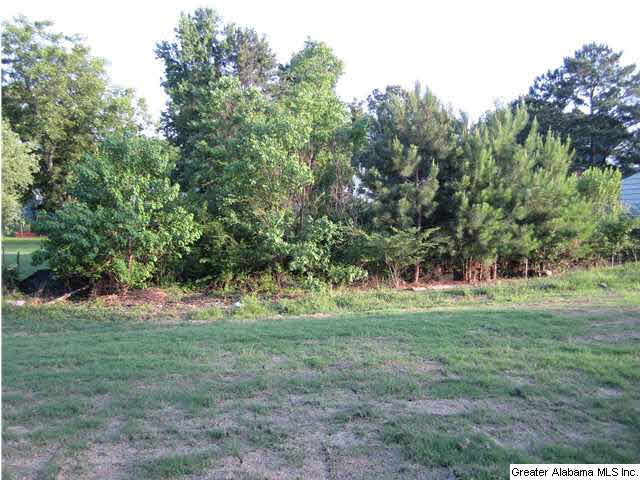 24 Vinson Place Clanton, AL 35045 - Photo 18 of 20