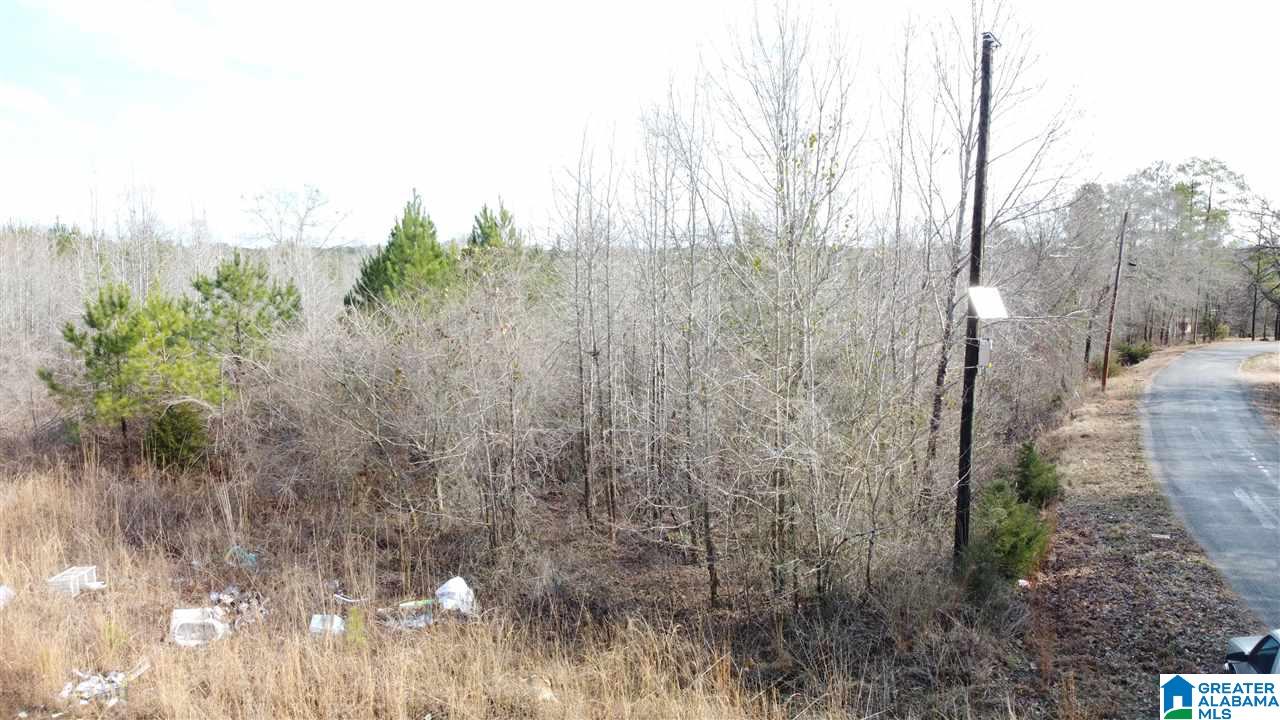 Landmark Road Talladega, AL 35160 - Photo 6 of 8