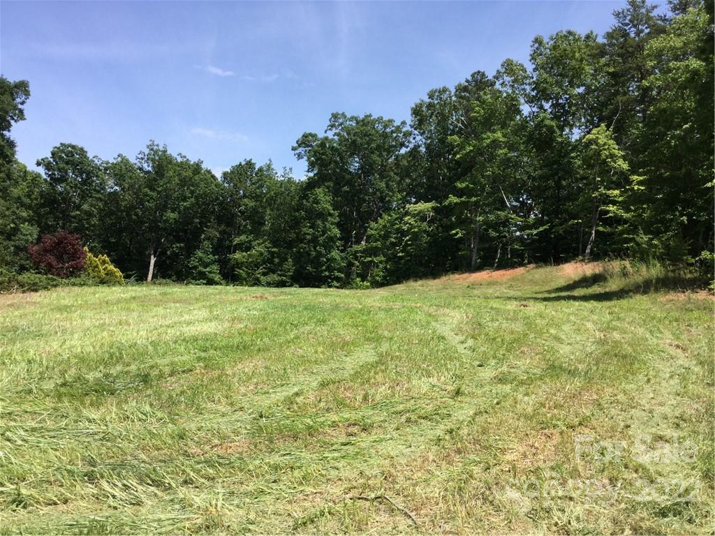 134 V S Dalton Road Rutherfordton, NC 28139 - Photo 7 of 43