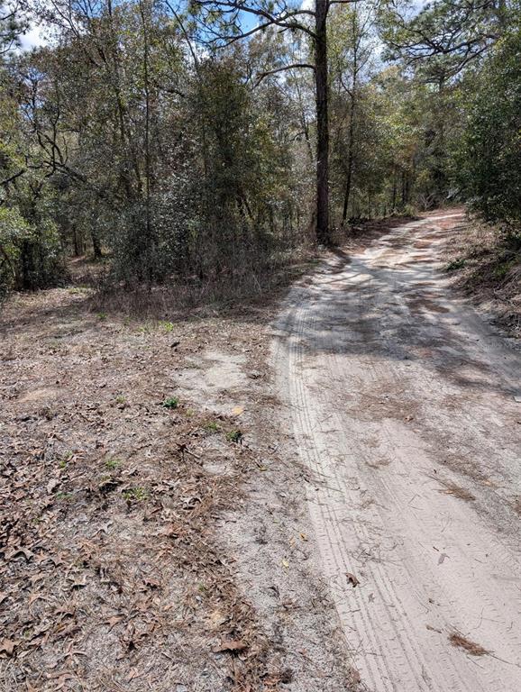 0 Southwest 90th Street Dunnellon, FL 34432 - Photo 4 of 8
