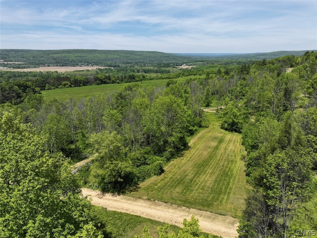 River Road Belmont, NY 14813 - Photo 11 of 23