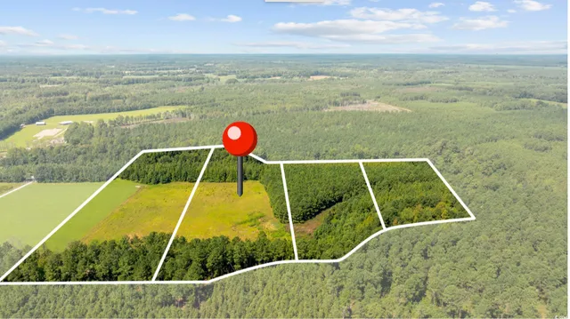 $56,350 | Lot 3 Womack Road, Nichols, SC 29581