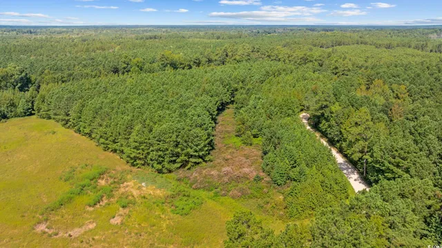 $56,350 | Lot 3 Womack Road, Nichols, SC 29581