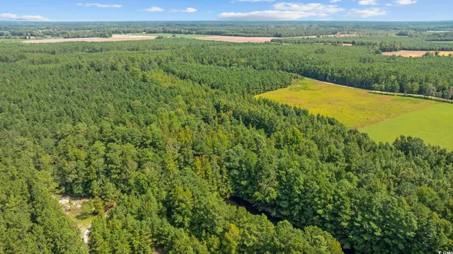 $56,350 | Lot 3 Womack Road, Nichols, SC 29581