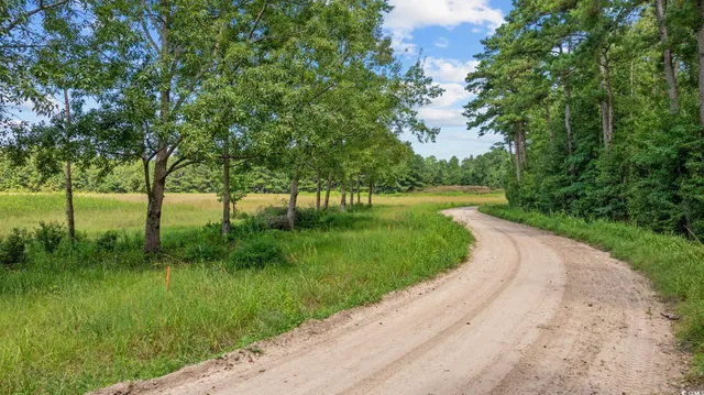 $56,350 | Lot 3 Womack Road, Nichols, SC 29581