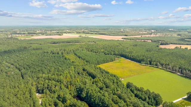 $56,350 | Lot 3 Womack Road, Nichols, SC 29581