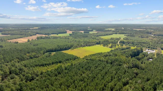$56,350 | Lot 3 Womack Road, Nichols, SC 29581