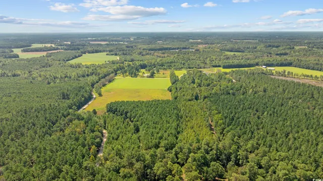 $56,350 | Lot 3 Womack Road, Nichols, SC 29581