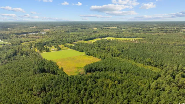 $56,350 | Lot 3 Womack Road, Nichols, SC 29581