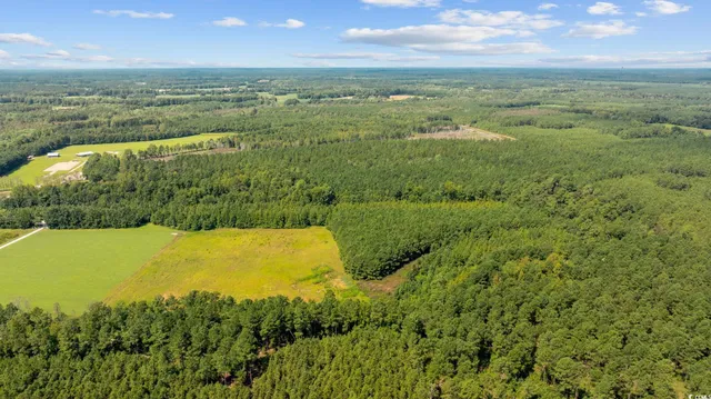 $56,350 | Lot 3 Womack Road, Nichols, SC 29581