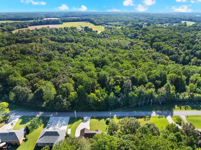 a view of swimming pool from a garden