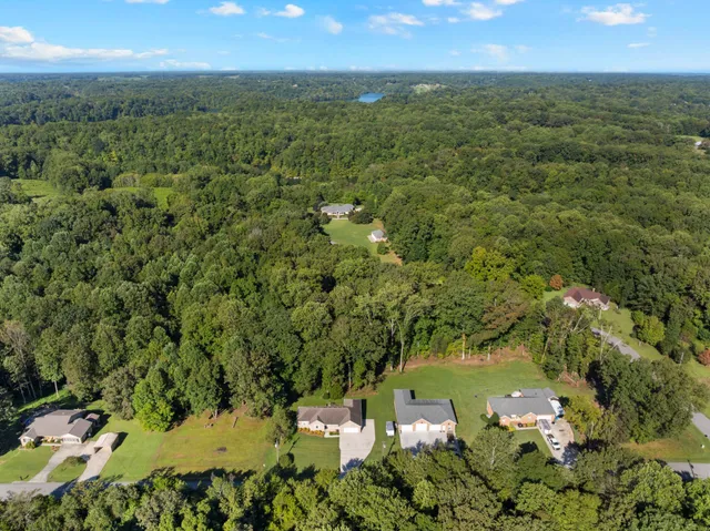 a view of house with garden and tall trees