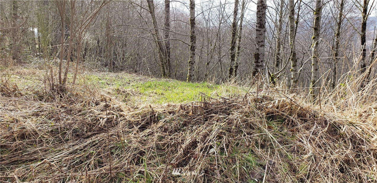 7 2500th Road Toutle, WA 98649 - Photo 10 of 10 Gallery Image 10