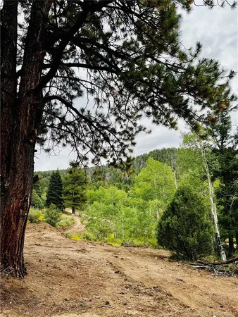 $56,000 | Forbes Road, San Luis, CO 81152