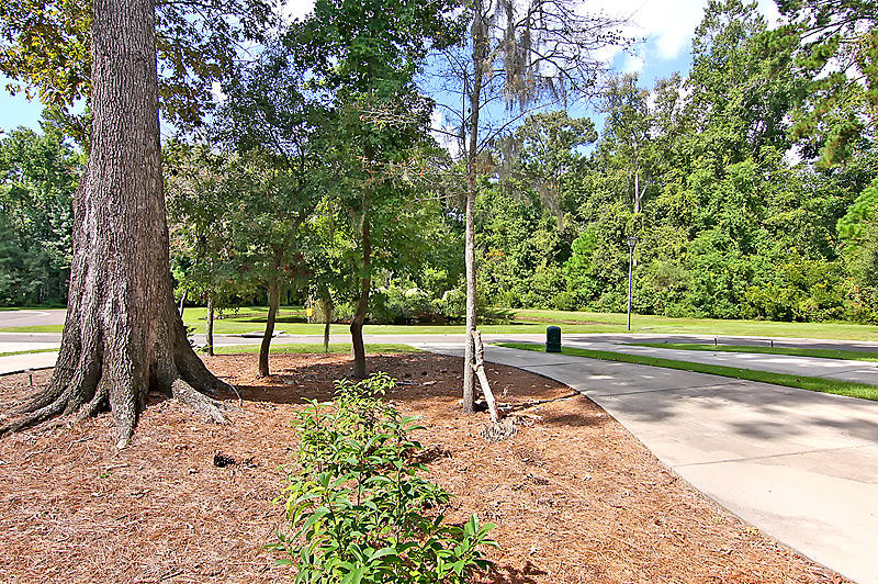 1453 Roustabout Way Charleston, SC 29414 - Photo 14 of 16 IMG_5400-copy