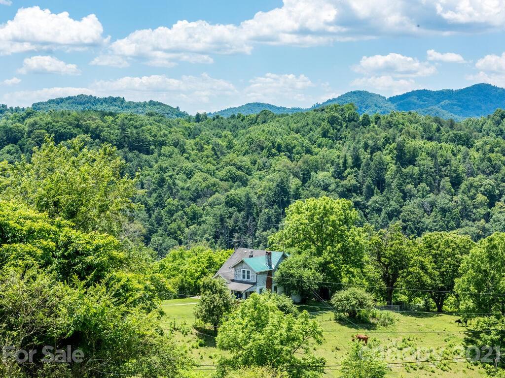 131 Frisby Road Marshall, NC 28753 - Photo 5 of 32 a view of a bunch of trees
