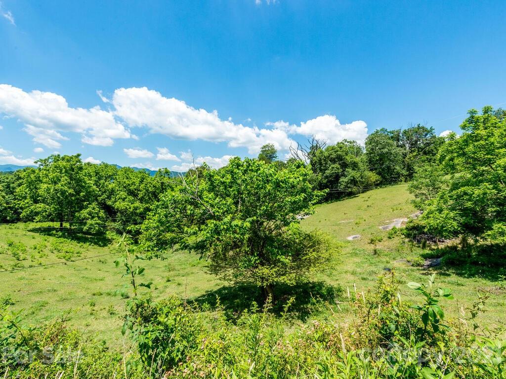 131 Frisby Road Marshall, NC 28753 - Photo 6 of 32 a view of a garden