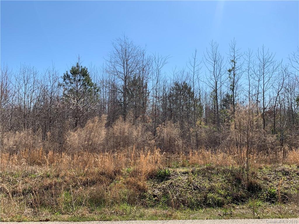 971 Stroupe Road Lancaster, SC 29720 - Photo 1 of 3