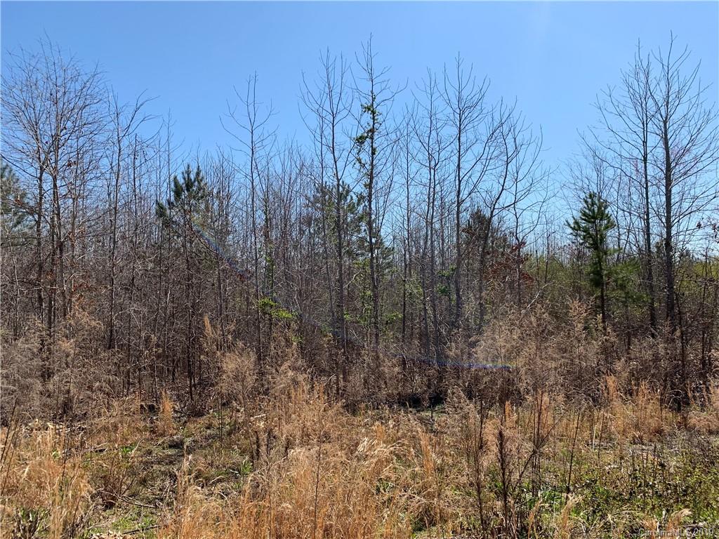 971 Stroupe Road Lancaster, SC 29720 - Photo 2 of 3