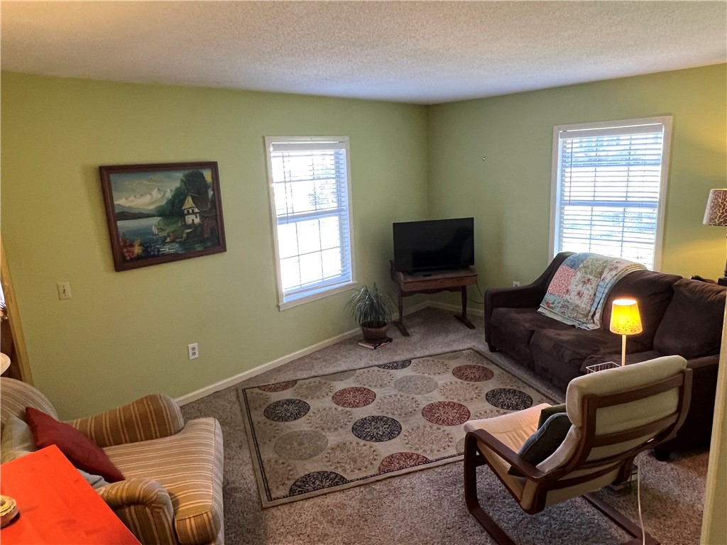 919 Chester Circle Pendleton, SC 29670 - Photo 4 of 9