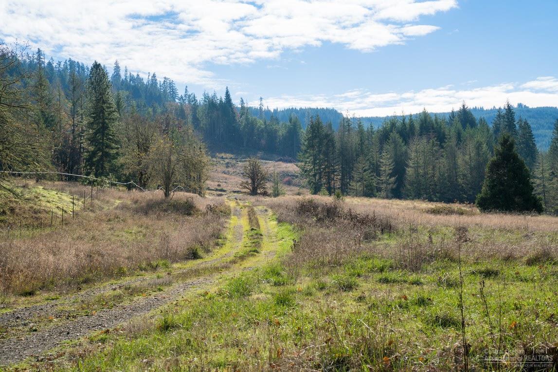 0 Camas Swale Road Creswell, OR 97426 - Photo 4 of 21 Additional Photo