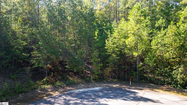 $25,000 | N34 Jocassee Ridge Way, Unit MEADOW VIEW LN, Salem, SC 29676