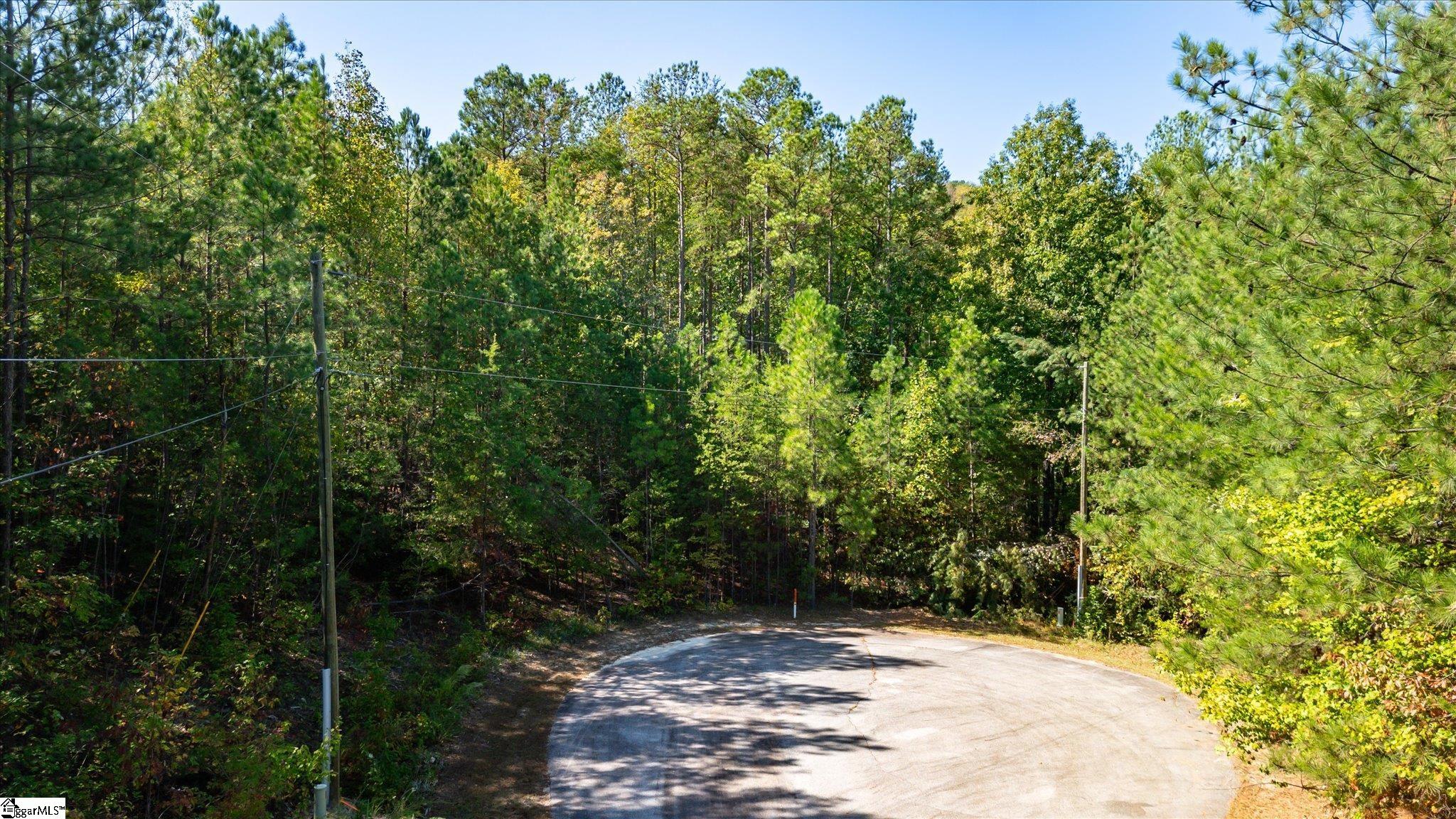 N34 Jocassee Ridge Way, Unit MEADOW VIEW LN Salem, SC 29676 - Photo 5 of 11