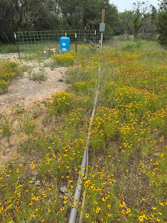 12550 County Road 136 Ranger, TX 76470 - Photo 14 of 19