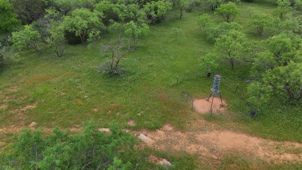 12550 County Road 136 Ranger, TX 76470 - Photo 5 of 19