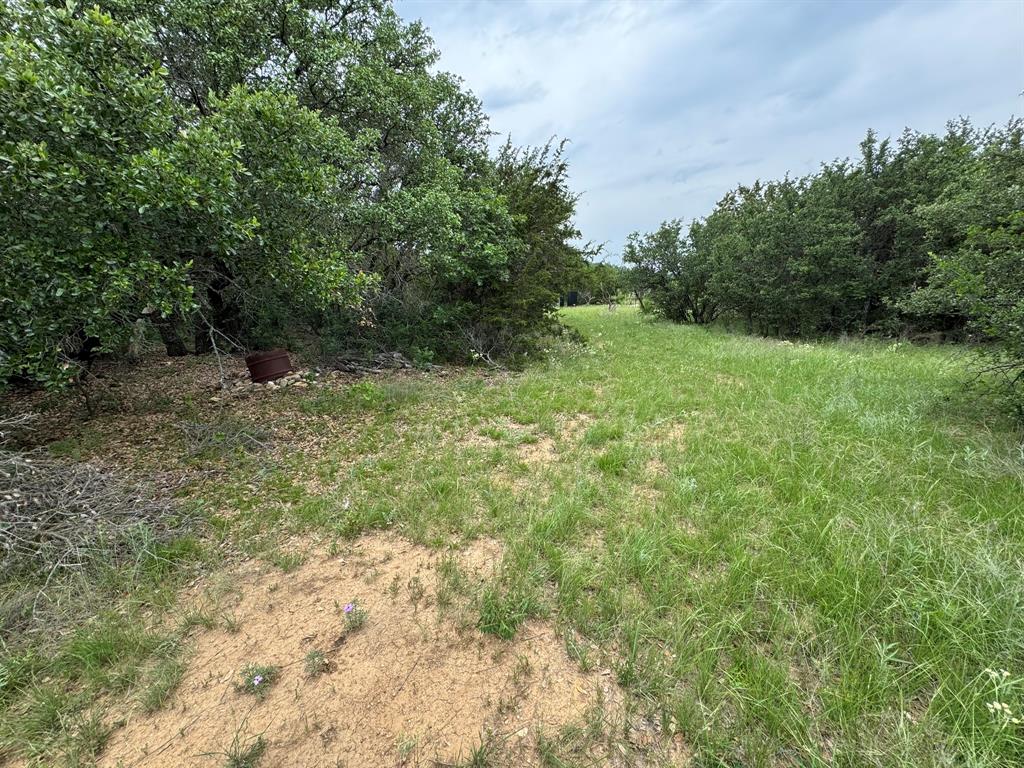 12550 County Road 136 Ranger, TX 76470 - Photo 8 of 19