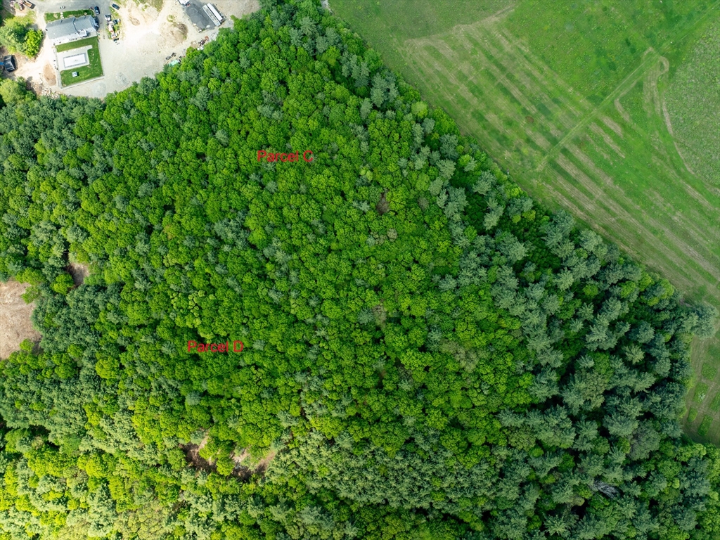 Lot D Plain Street Middleboro, MA 02346 - Photo 6 of 13 a view of a lush green forest
