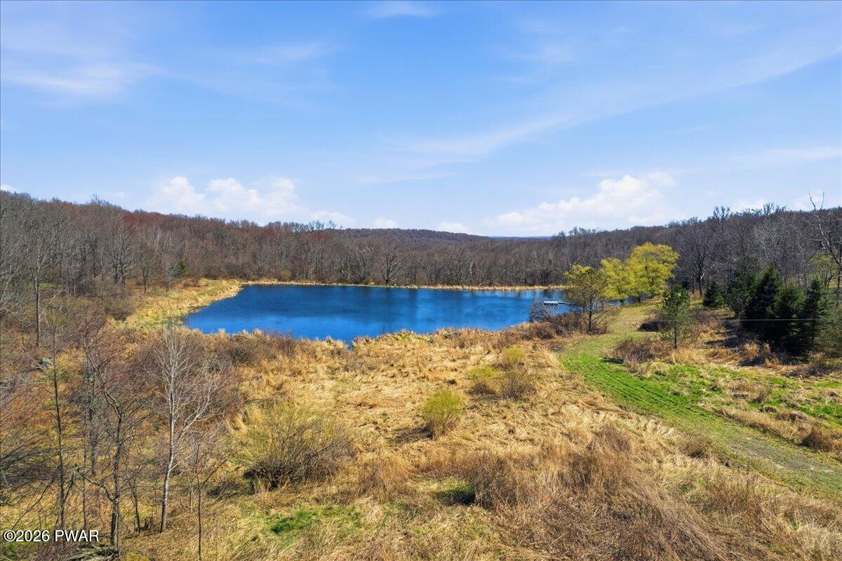 230 Big Hills Road Lake Ariel, PA 18436 - Photo 72 of 79