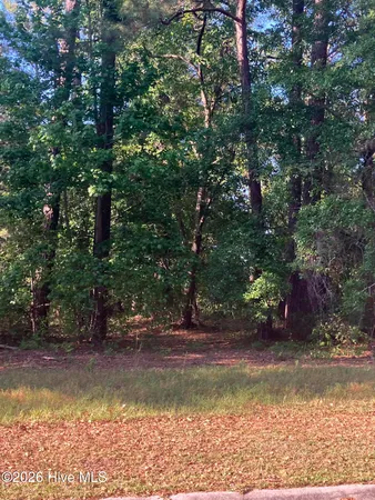 $40,000 | 134 Legacy Woods Drive, Wallace, NC 28466