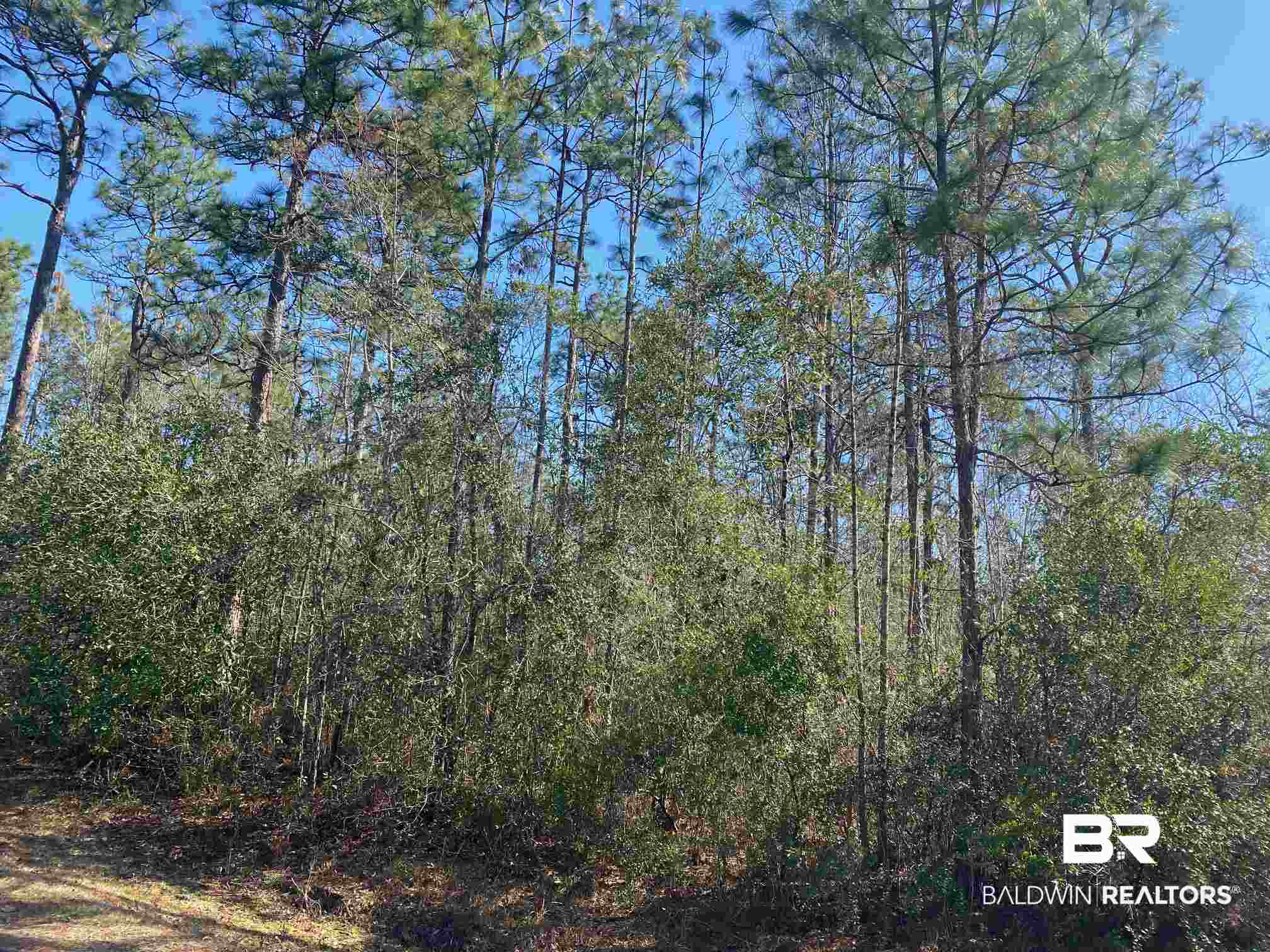 Timber Ridge Drive Loxley, AL 36551 - Photo 9 of 11