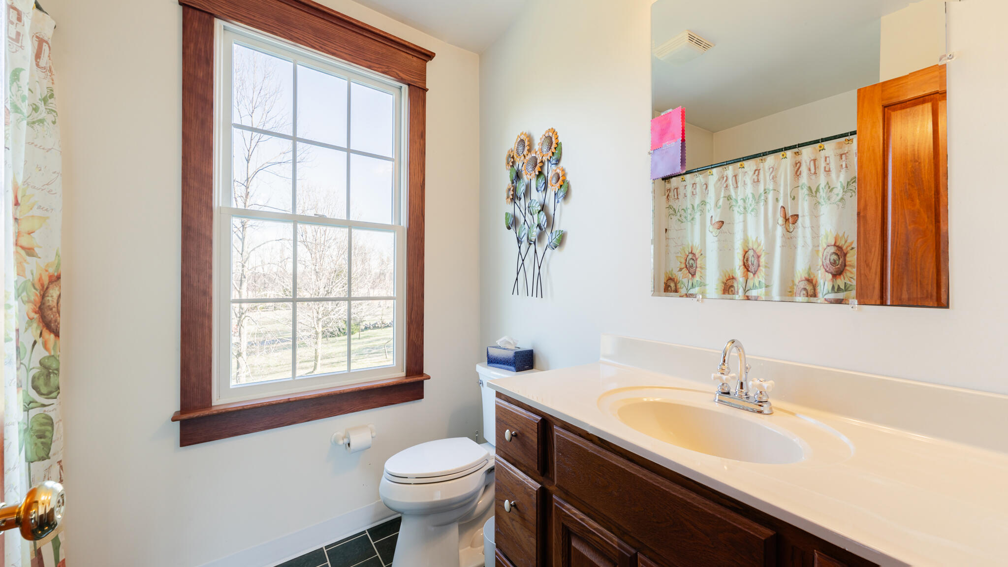 6582 West Card Road Reading, MI 49274 - Photo 39 of 65 6582WCard38