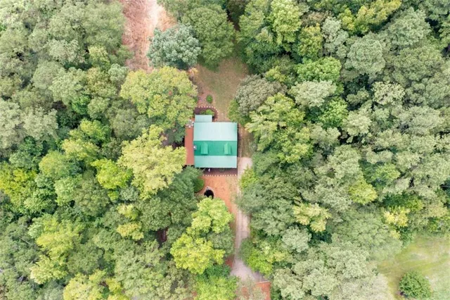 a plant that is sitting in a garden