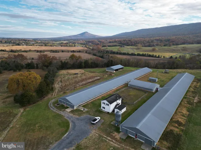 a view of a water fountain with large trees