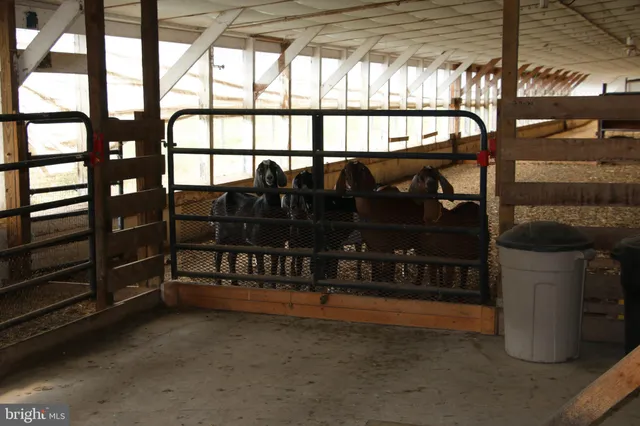a view of a house with a back yard