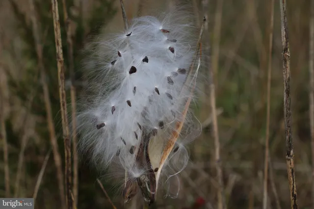 a view of lake and mountain