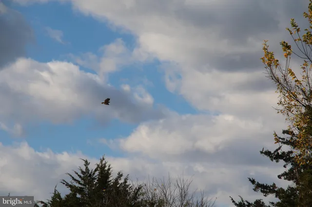 an aerial view of residential houses with outdoor space and trees