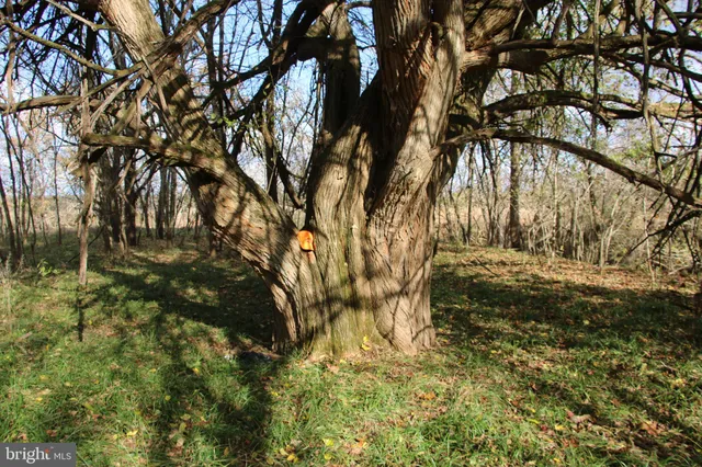 $2,400,000 | 499 East Lee Highway, New Market, VA 22844