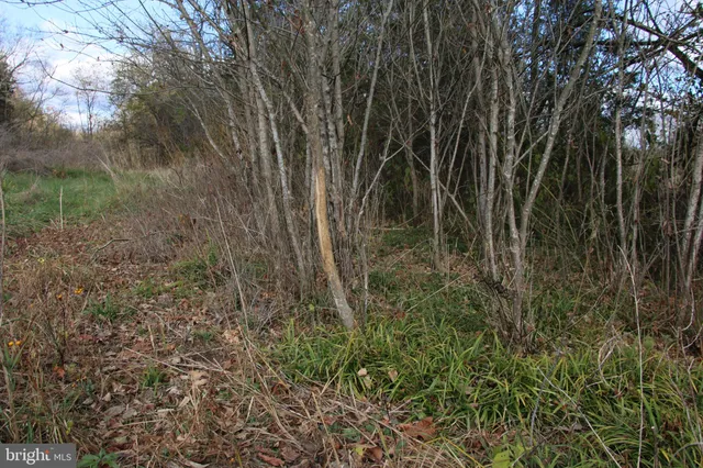 $2,400,000 | 499 East Lee Highway, New Market, VA 22844