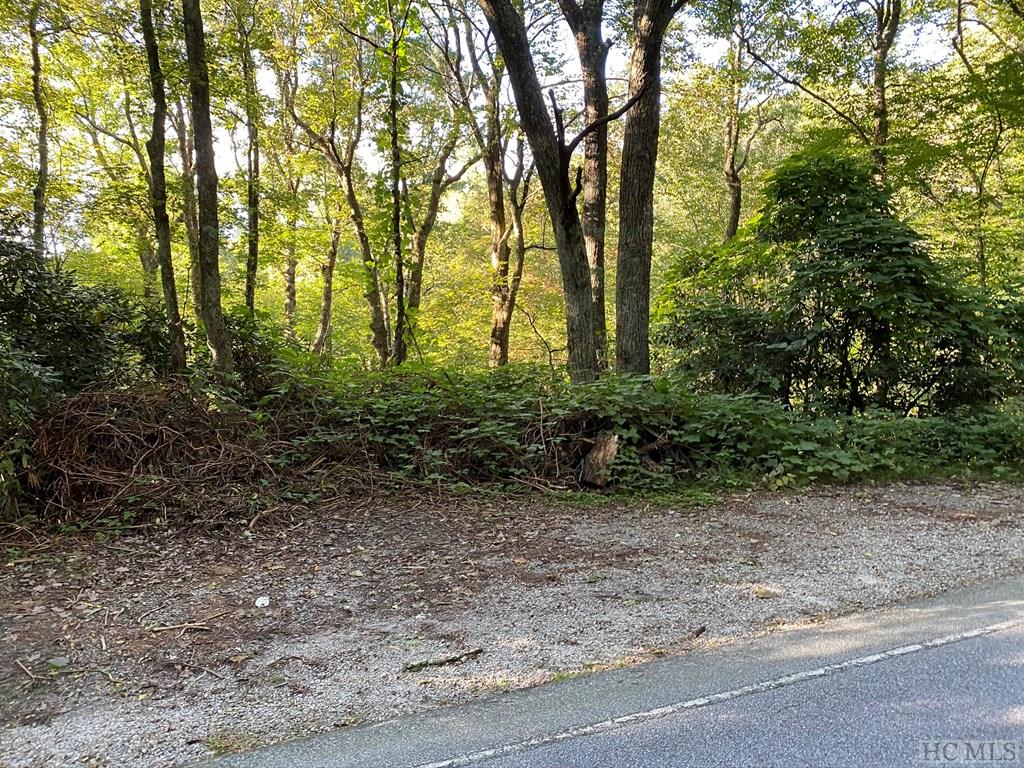 Tbd Dillard Road Highlands, NC 28741 - Photo 2 of 11 Gallery Image 2