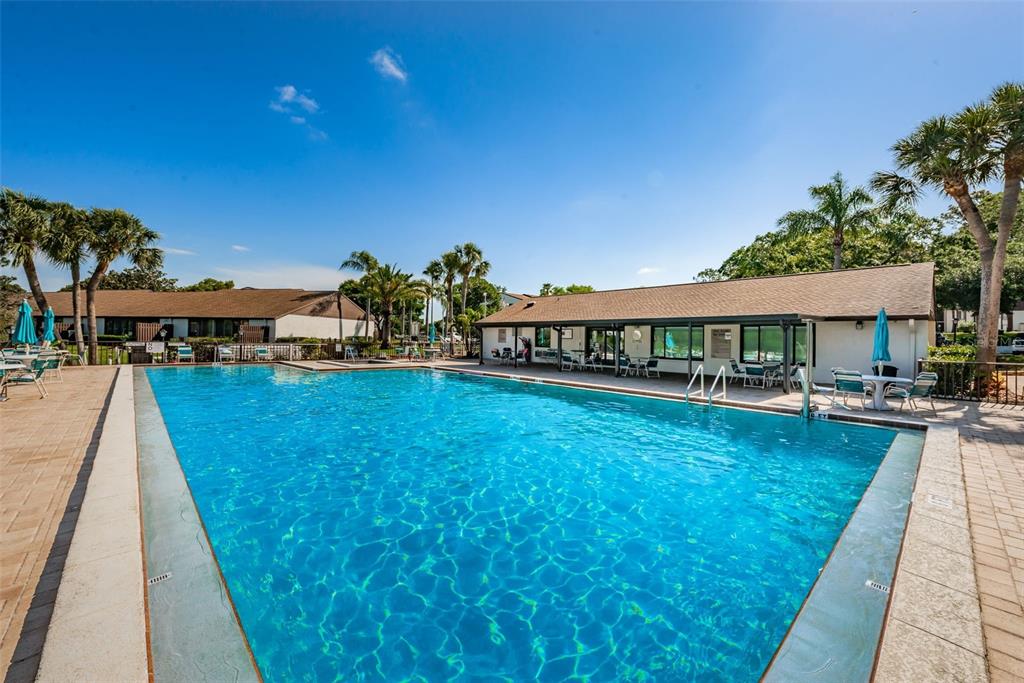 1870 Pine Ridge Way West, Unit G1 Palm Harbor, FL 34684 - Photo 66 of 77