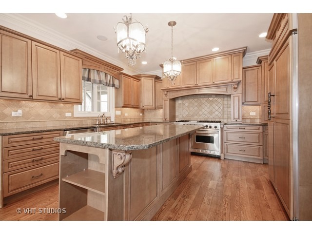 744 West Maple Street Hinsdale, IL 60521 - Photo 5 of 25